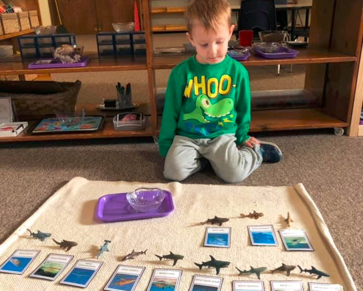 boy learning about sea animals at a Preschool & Daycare Serving Brighton, MI