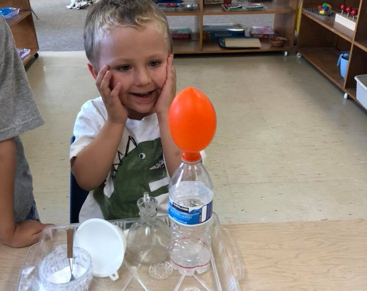 excited boy doing science at a Preschool & Daycare Serving Brighton, MI