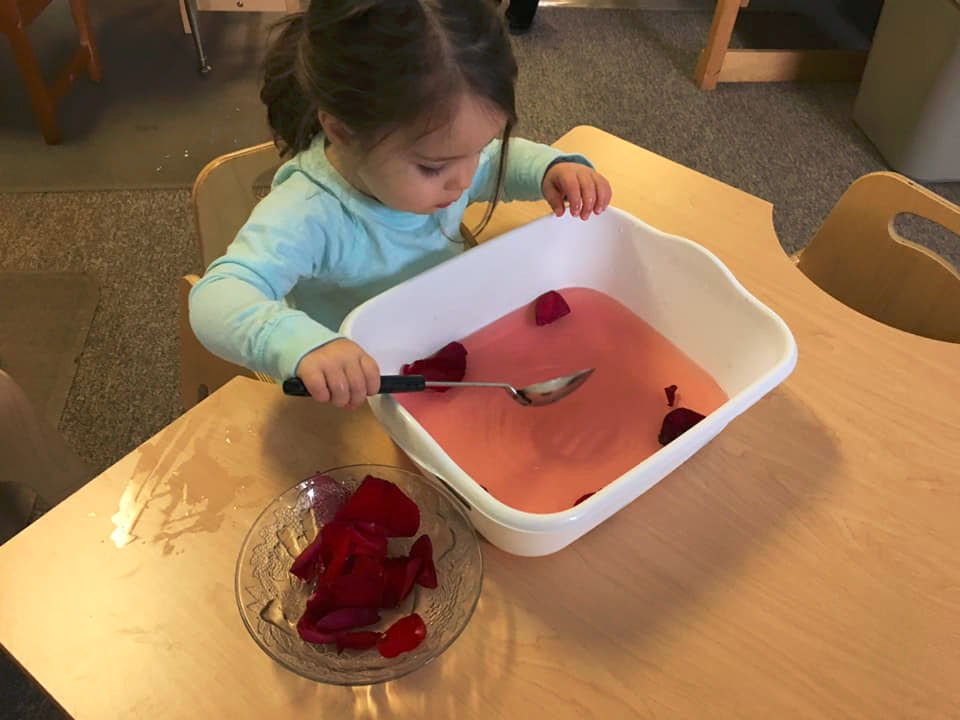 young girl playing with rose petals at a Preschool & Daycare Serving Brighton, MI